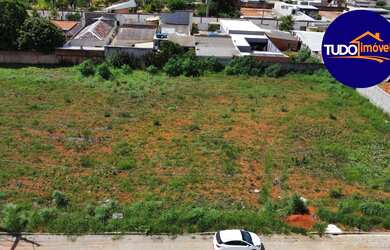 Imagem: Na Rua Das Palmeiras
