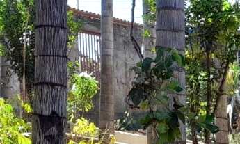 Imagem 5: CASA DE 2 QUARTOS, 160M², QUINTAL AMPLO COM VAGA PARA 6 CARROS E COM ARVORES FRUTÍFERAS