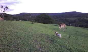 Imagem: CHACÁRA NO ENGENHO DAS LAGES TOP!