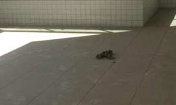 Imagem: APARTAMENTO RESIDENCIAL em RIO DE JANEIRO