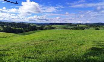 Imagem 3: Fazenda 128,26 Hectares ou 53 Alqueires Formada em Pasto Conta com uma Estrutura de Pr