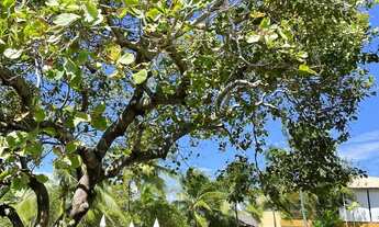 Imagem: Casa Duplex 70m2 2 Dorms 1 Suíte, 1 vaga