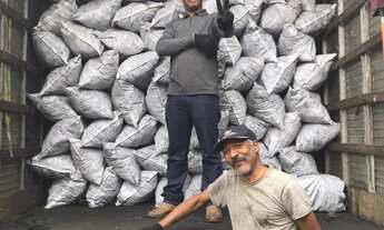 Imagem 4: Sítio 92.000 m2 (3,8 Alqueires) proporciona um amplo espaço para explorar e desfrutar de