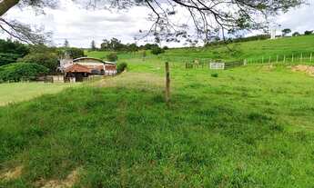 Imagem 6: Fazenda 128,26 Hectares ou 53 Alqueires Formada em Pasto Conta com uma Estrutura de Pr