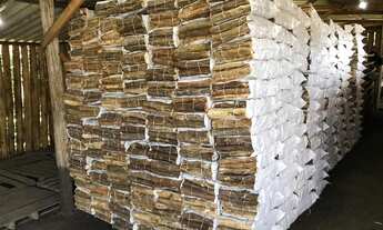 Imagem 3: Sítio 92.000 m2 (3,8 Alqueires) proporciona um amplo espaço para explorar e desfrutar de