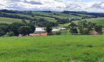 Imagem 4: Fazenda 128,26 Hectares ou 53 Alqueires Formada em Pasto Conta com uma Estrutura de Pr