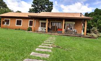 Imagem: Sitio 31 Alqueires Formada em Pasto Atualmente