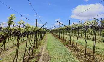 Imagem 5: Chácara à venda em São Miguel Arcanjo-SP: 2 quartos, 2 salas, 2 banheiros, 3 vagas de gara