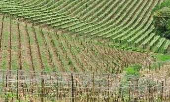 Imagem 7: Chácara à venda em São Miguel Arcanjo-SP, Zona Rural: 2 quartos, 2 salas, 2 banheiros, 3 v