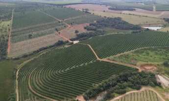 Imagem: Fazenda de Laranjas 170 Alqueires 97 Alqueires