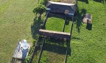 Imagem: Sítio 11,3 Alqueires, Formada em Pastagem