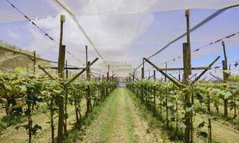 Imagem 2: Chácara à venda em São Miguel Arcanjo-SP: 2 quartos, 2 salas, 2 banheiros, 3 vagas de gara