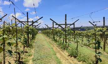 Imagem 7: Chácara à venda em São Miguel Arcanjo-SP: 2 quartos, 2 salas, 2 banheiros, 3 vagas de gara