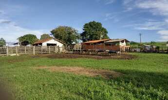 Imagem 7: Chácara à venda em Barra Bonita-SP, Zona Rural: 2 quartos, 2 salas, 1 banheiro, 3 vagas de