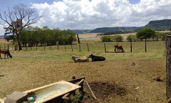 Imagem 3: Chácara à venda em Barra Bonita-SP, Zona Rural: 2 quartos, 2 salas, 1 banheiro, 3 vagas de