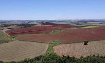 Imagem 6: Fazenda à venda em Itaí-SP, na Área Rural, com 1 quarto, 1 banheiro e 1.379.400,00 m² de á
