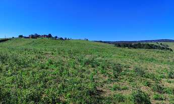 Imagem 4: Fazenda 50 Alqueires, Formada em Lavoura e Pasto, - 31 Alqueires em Plantio, - Topografia