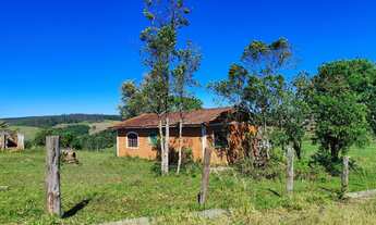 Imagem 6: Fazenda 50 Alqueires, Formada em Lavoura e Pasto, - 31 Alqueires em Plantio, - Topografia