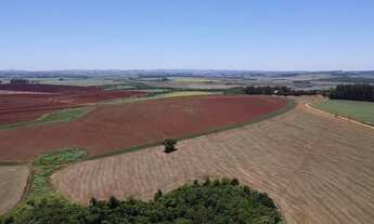 Imagem 2: Fazenda à venda em Itaí-SP, na Área Rural, com 1 quarto, 1 banheiro e 1.379.400,00 m² de á
