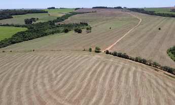 Imagem 3: Fazenda à venda em Itaí-SP: 1 quarto, 1 banheiro, 1.645.600,00 m² de área na Área Rural de