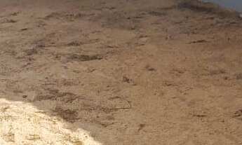 Imagem 3: Casa à venda em Hortolândia-SP, Jardim Estrela: 2 quartos, 1 suíte, 1 sala, 2 banheiros, 1