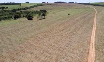 Imagem 5: Fazenda à venda em Itaí-SP: 1 quarto, 1 banheiro, 1.645.600,00 m² de área na Área Rural de