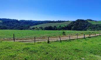 Imagem 7: Fazenda 50 Alqueires, Formada em Lavoura e Pasto, - 31 Alqueires em Plantio, - Topografia