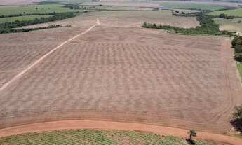 Imagem 7: Fazenda à venda em Itaí-SP: 1 quarto, 1 banheiro, 1.645.600,00 m² de área na Área Rural de