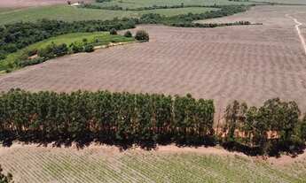 Imagem 2: Fazenda à venda em Itaí-SP: 1 quarto, 1 banheiro, 1.645.600,00 m² de área na Área Rural de