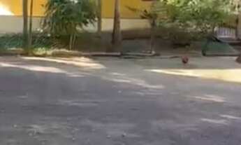 Imagem: Oportunidade única Sítio à venda em