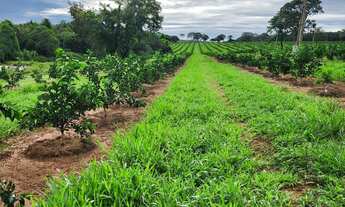 Imagem 6: Fazenda de Luxo à Venda em Área Rural de São José do Rio Preto-SP: 3 Quartos, 1 Suíte, 3 S