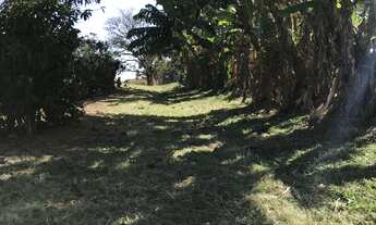 Imagem 4: Chácara à venda em Itobi-SP, Zona Rural: 1 quarto, 1 banheiro, 0,01 m² de área!