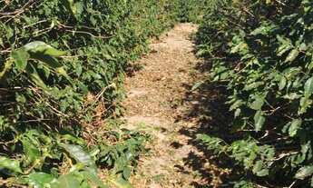 Imagem 6: Chácara à venda em Itobi-SP, Zona Rural: 1 quarto, 1 banheiro, 0,01 m² de área!