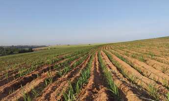 Imagem: Fazenda de luxo à venda em Getulina-SP