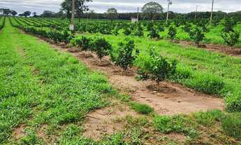 Imagem 4: Fazenda de Luxo à Venda em Área Rural de São José do Rio Preto-SP: 3 Quartos, 1 Suíte, 3 S