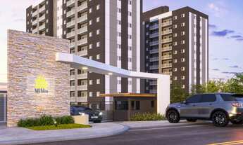 Imagem: Apartamento à venda em Caieiras-SP, Morro