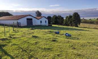 Imagem 6: Fazenda à venda em Alambari-SP, Zona Rural: 3 quartos, 3 salas, 3 banheiros, 5 vagas de ga