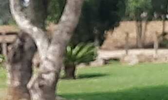 Imagem 6: Imperdível: Sitio à venda em Sarapuí-SP, Zona Rural, 3 quartos, 1 suíte, 2 salas, 3 banhei