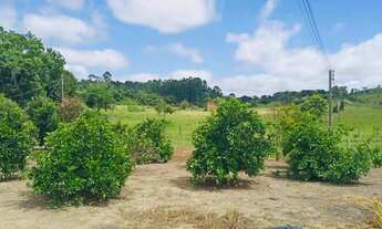 Imagem 6: Sitio com 3 Alqueires, 10 km do centro de Quadra SP , Sitinho com preço de oportunidade..