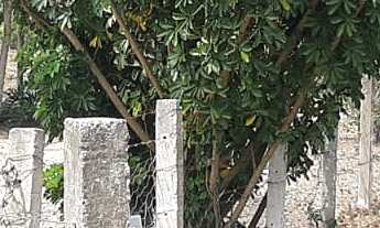 Imagem 2: Imperdível: Sitio à venda em Sarapuí-SP, Zona Rural, 3 quartos, 1 suíte, 2 salas, 3 banhei