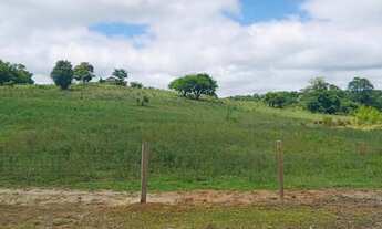 Imagem 3: Sitio com 3 Alqueires, 10 km do centro de Quadra SP , Sitinho com preço de oportunidade..