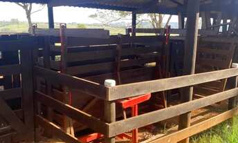 Imagem 4: Sítio à venda em Itapetininga-SP, Área Rural: 2 quartos, 3 salas, 2 banheiros, 2 vagas de