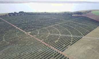 Imagem: Fazenda de luxo à venda em Cardoso-SP