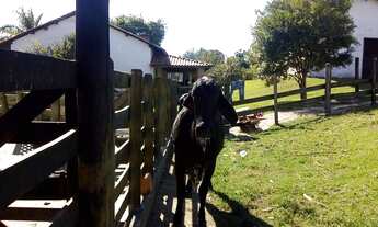 Imagem 5: Chácara à venda em Área Rural de Tatuí-SP: 2 quartos, 1 sala, 3 banheiros, 3 vagas, 150m²