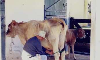 Imagem 2: Chácara à venda em Área Rural de Tatuí-SP: 2 quartos, 1 sala, 3 banheiros, 3 vagas, 150m²