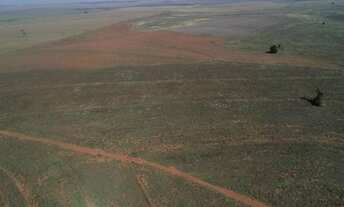 Imagem 7: FAZENDA A VENDA NA REGIÃO DE PRESIDENTE PRUDENTE-SP ?? EXCELENTE OPORTUNIDADE DE NEGÓCI