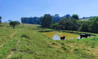 Imagem 2: Imperdível: Sitio à venda em Área Rural de Itapetininga-SP, com 3 quartos, 1 suíte e mais!