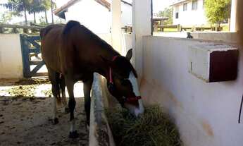 Imagem 4: Chácara à venda em Área Rural de Tatuí-SP: 2 quartos, 1 sala, 3 banheiros, 3 vagas, 150m²