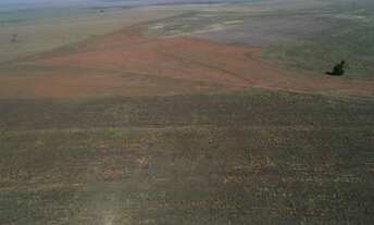Imagem 4: FAZENDA A VENDA NA REGIÃO DE PRESIDENTE PRUDENTE-SP ?? EXCELENTE OPORTUNIDADE DE NEGÓCI