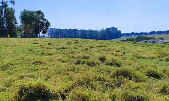 Imagem 5: Imperdível: Sitio à venda em Área Rural de Itapetininga-SP, com 3 quartos, 1 suíte e mais!